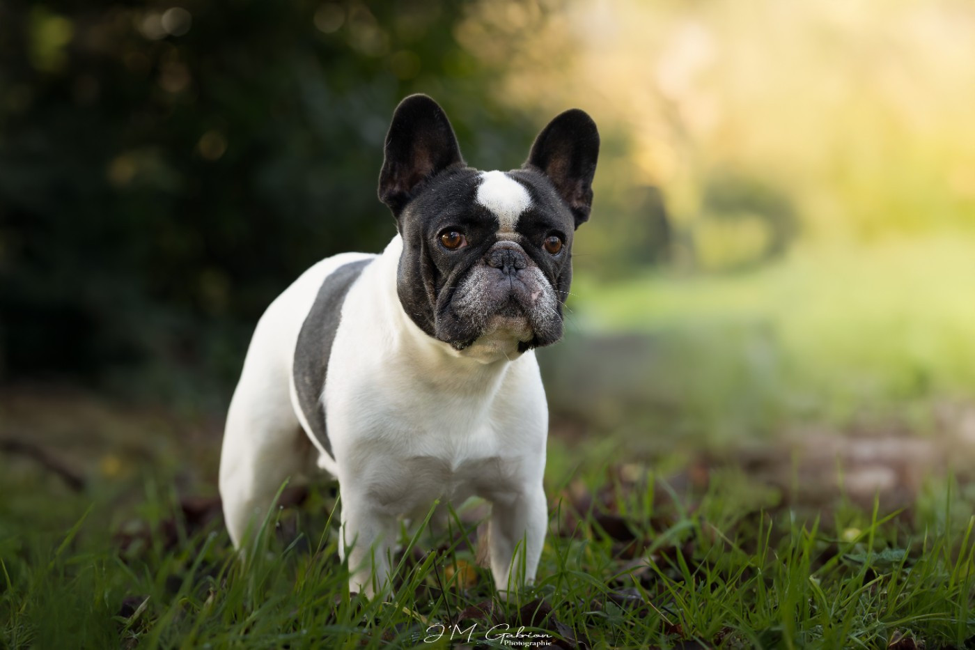 Savio Du Val De Capsil