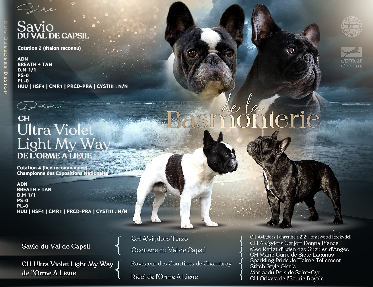 Des bébés attendus début mai 2026